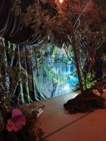 556604276_1388576599936809_873354351359949476_n