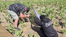 593120963_1446812360779899_4596698789680177733_n