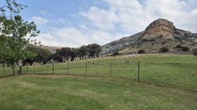 558827928_1390738433053959_7416344980830436051_n