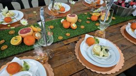 504678343_1284403503687453_4893024090772135934_n