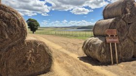 648681417_1530409469086854_8087589360875116303_n