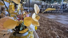 649618132_1530409672420167_5135113836858975949_n