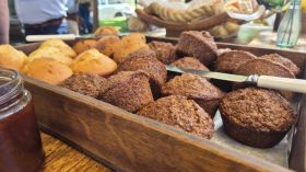 580103905_1428784162582719_6788790735656859388_n