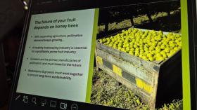 580993618_1428784885915980_7692544648870912277_n