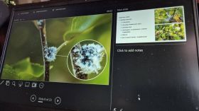 582223238_1428783889249413_7710407206762472517_n