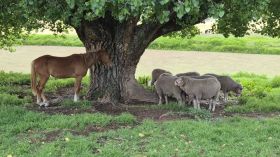 583128142_1428781359249666_5807510370569499188_n