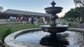 490573585_1237781381682999_7527138197681801158_n