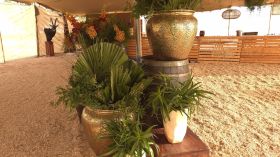 598205663_1455851256542676_1315300360913627139_n