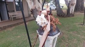 651169561_1537423571718777_5132597523654084563_n