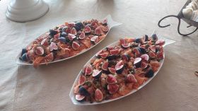 651269621_1537423225052145_7411652502395254616_n