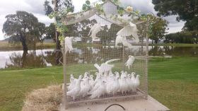 652304444_1537414751719659_7357778906325812565_n