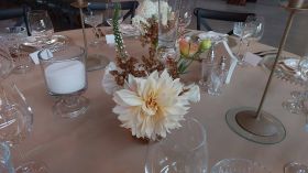 653153238_1537414441719690_3686300149100255498_n