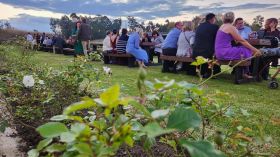 491951393_1244422664352204_1256529328910997166_n