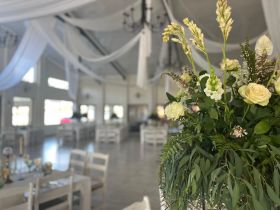 491951776_1244424081018729_8642543608263728623_n