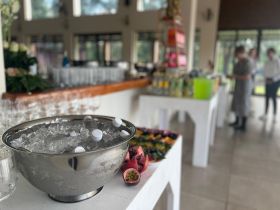 492234501_1244424377685366_3516839662842238683_n