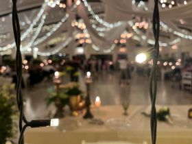 492512743_1244437924350678_5905459073159904893_n