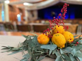 535024042_1348440627283740_5062922637731547045_n