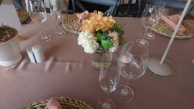 655348846_1544187464375721_8729663691698329320_n