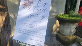 493908124_1250391217088682_5508768115292029642_n