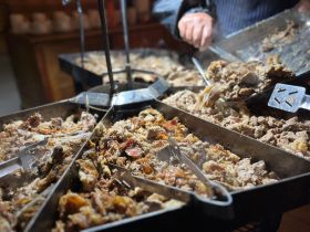 525352038_1326744599453343_6362133014099402185_n