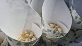 657520324_1547193787408422_3263398962190639172_n