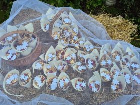 591744368_1444303094364159_4084599685208127788_n