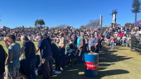 502472268_1279317304196073_4007263038818435198_n